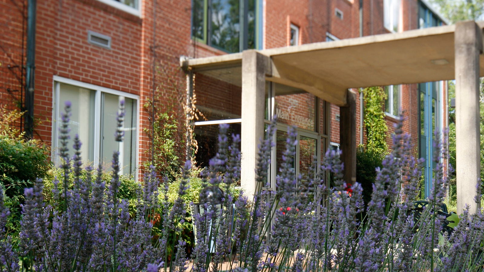 CooperRiis Healing Community