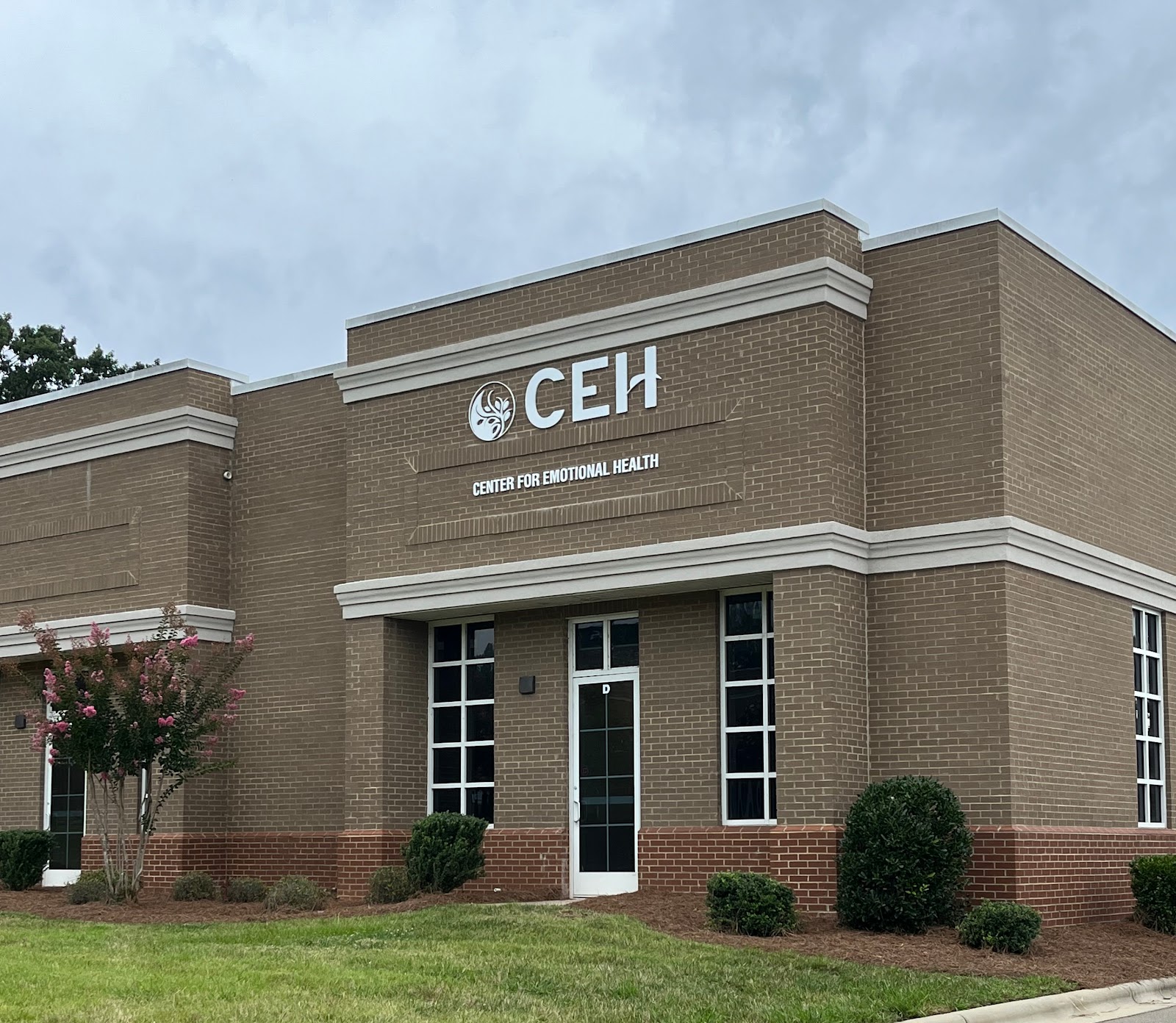 Center for Emotional Health